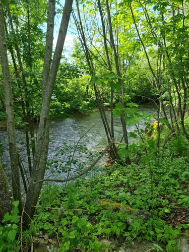 Von Riederich zum Arboretum im Forstrevier Grafenberg