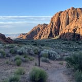 Butterfly, Lava Flow Overlook, West Canyon, and Petrified Dunes Loop ...