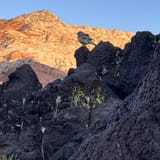 Butterfly, Lava Flow Overlook, West Canyon, and Petrified Dunes Loop ...