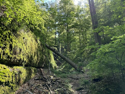 Drachenschlucht