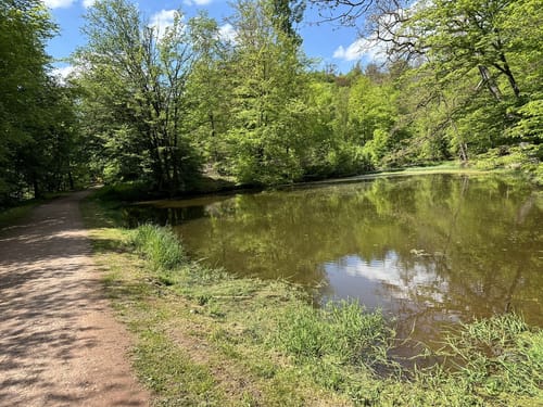 Drachenschlucht