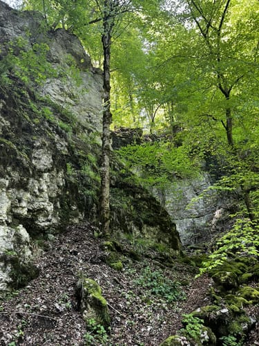 Zum Schloss Lichtenstein und der Ruine