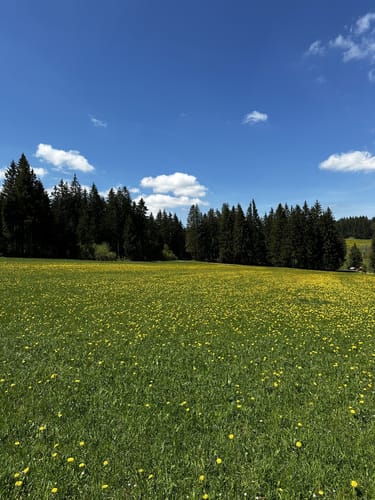Blindenseerunde