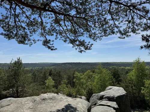 Fontainebleau forest: Gorges du Houx - Mont Aigu, Seine-et-Marne