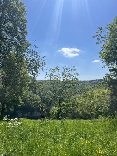 Seeburgsteig (Premiumwanderweg)