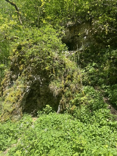 Seeburgsteig (Premiumwanderweg)