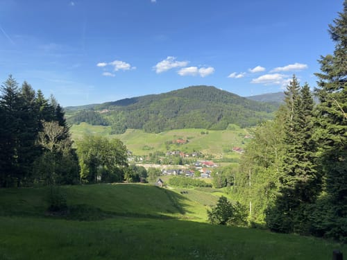 Kappelrodecker Hexensteig