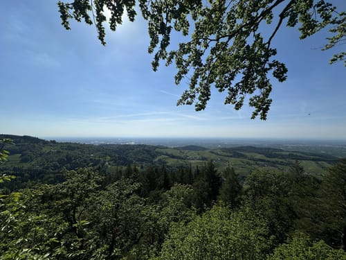 Kappelrodecker Hexensteig