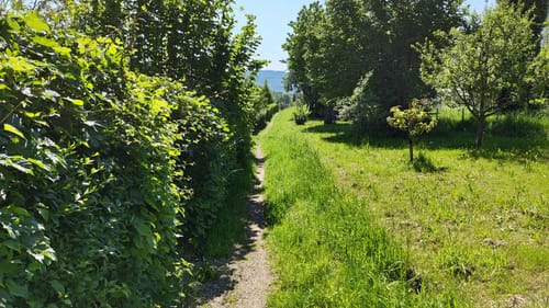 Hauenebersteiner Rundweg