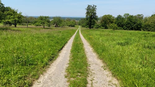 Hauenebersteiner Rundweg