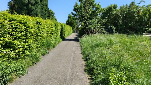 Hauenebersteiner Rundweg