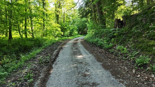Hauenebersteiner Rundweg