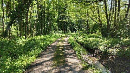 Hauenebersteiner Rundweg