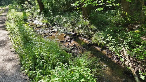 Hauenebersteiner Rundweg