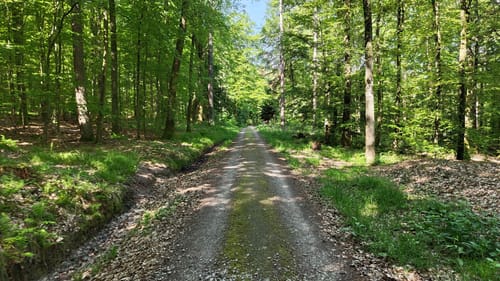 Hauenebersteiner Rundweg