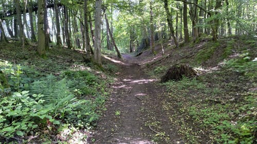 Hauenebersteiner Rundweg