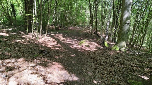 Hauenebersteiner Rundweg
