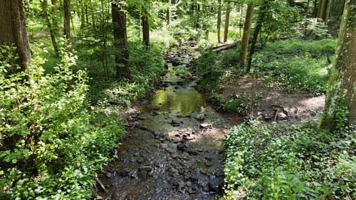 Hauenebersteiner Rundweg