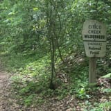 South Fork of Citico Creek Trail, Tennessee - 43 Reviews, Map | AllTrails