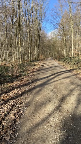 L2 Rundwanderweg Lauenau Nr. 2