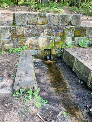 Durchs Naturschutzgebiet Weichselbrunner Weiher und Trockenkieferwald