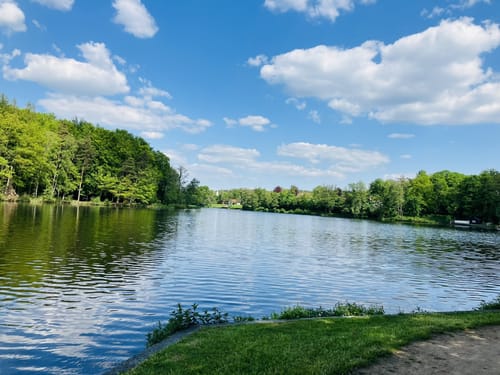 Durchs Naturschutzgebiet Weichselbrunner Weiher und Trockenkieferwald