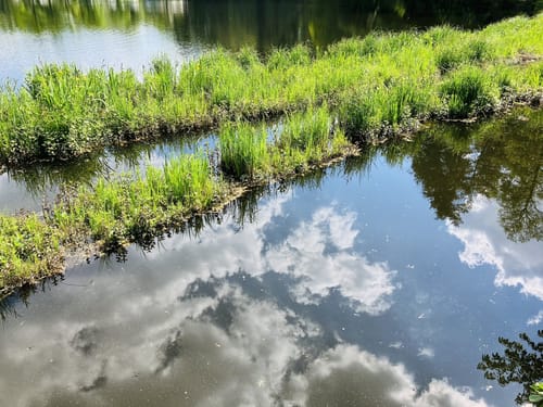Durchs Naturschutzgebiet Weichselbrunner Weiher und Trockenkieferwald