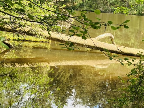 Durchs Naturschutzgebiet Weichselbrunner Weiher und Trockenkieferwald