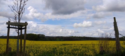 Rundtour Neustadt - Altenkrempe - Sierhagen
