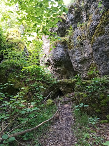 Rundwanderweg Eichblattweg