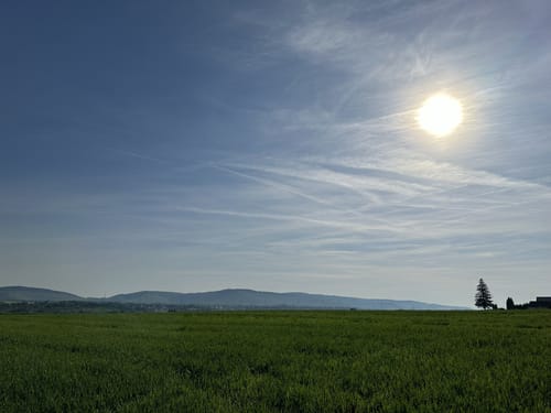 Römer Rundwanderweg Rommelshausen