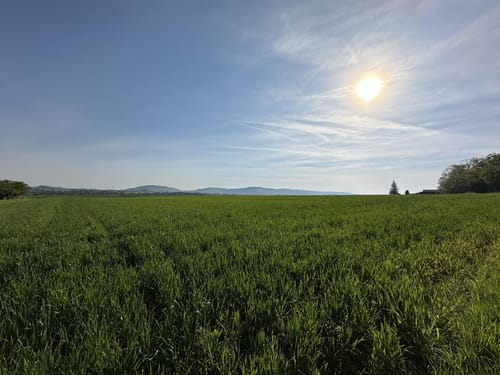 Römer Rundwanderweg Rommelshausen