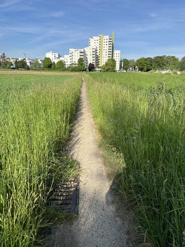 Römer Rundwanderweg Rommelshausen