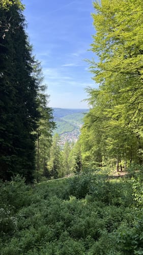 Neckarsteig Etappe 4: Hirschhorn - Eberbach