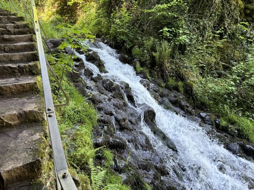 HeimatSpur Erlebnisweg Ritter-Räuber-Römer (Bad Bertrich)