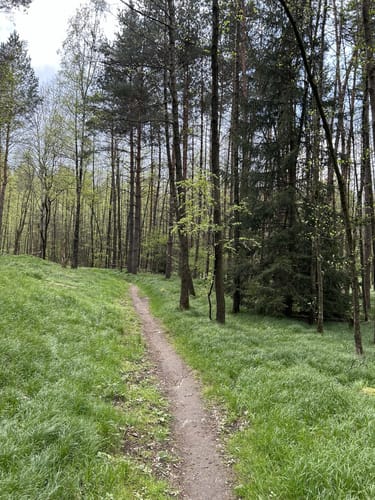 Eisenberger Mühltal Rundweg