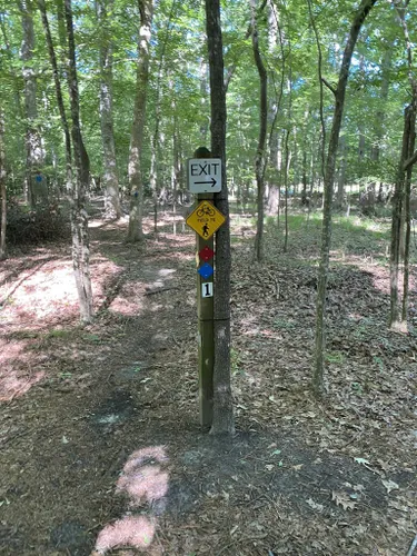 Best Easy Trails in North Charleston Wannamaker County Park | AllTrails