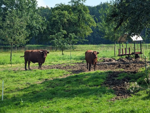 Pommelsbrunn  - Happurg Rundweg