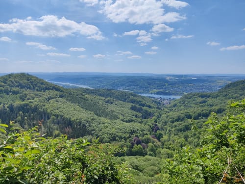 Traumhafte Siebengebirgsrunde mit Löwenburg und Drachenfels
