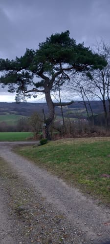 Hilders Rundwanderweg 3