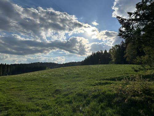 Titisee Rundweg