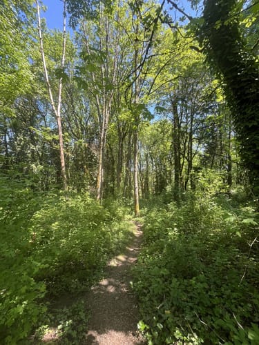 Best hikes and trails in River View Natural Area | AllTrails