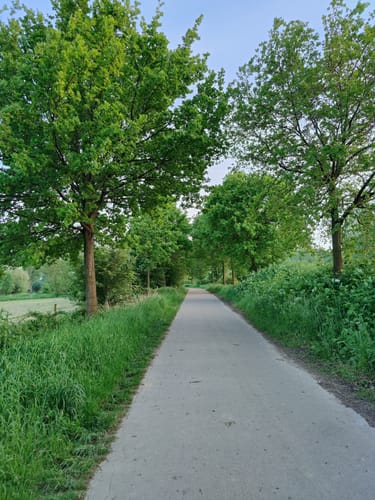 Düsseldorf Himmelgeist: Himmelgeister Rheinbogen