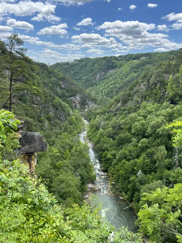 Best Walking Trails in Tallulah - EyJidWNrZXQiOiJhc3NldHMuYWxsdHJhaWxzLmNvbSIsImtleSI6InVwbG9hZHMvcGhvdG8vaW1hZ2UvNzQzNDk3NTIvZWFhZjg0MzllYjI5MjFhNGUxYzZmNGY4MWE5ZGQ0YTcuanBnIiwiZWRpdHMiOnsidG9Gb3JtYXQiOiJ3ZWJwIiwicmVzaXplIjp7IndpZHRoIjo1MDAsImhlaWdodCI6NTAwLCJmaXQiOiJpbnNpZGUifSwicm90YXRlIjpudWxsLCJqcGVnIjp7InRyZWxsaXNRdWFudGlzYXRpb24iOnRydWUsIm92ZXJzaG9vdERlcmluZ2luZyI6dHJ1ZSwib3B0aW1pc2VTY2FucyI6dHJ1ZSwicXVhbnRpc2F0aW9uVGFibGUiOjN9fX0=