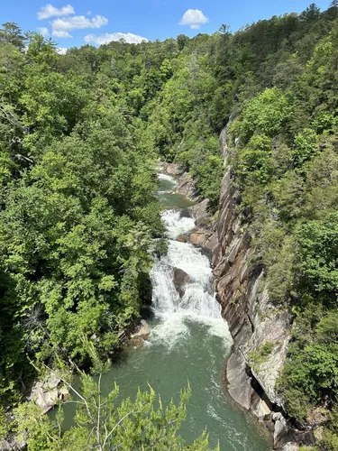 Best Walking Trails in Tallulah - EyJidWNrZXQiOiJhc3NldHMuYWxsdHJhaWxzLmNvbSIsImtleSI6InVwbG9hZHMvcGhvdG8vaW1hZ2UvNzQzNDk3NTQvOTZjYmNlZjFiYWZkYjRiMTIzZGMyMWEzNWEyMGNjODMuanBnIiwiZWRpdHMiOnsidG9Gb3JtYXQiOiJ3ZWJwIiwicmVzaXplIjp7IndpZHRoIjo1MDAsImhlaWdodCI6NTAwLCJmaXQiOiJpbnNpZGUifSwicm90YXRlIjpudWxsLCJqcGVnIjp7InRyZWxsaXNRdWFudGlzYXRpb24iOnRydWUsIm92ZXJzaG9vdERlcmluZ2luZyI6dHJ1ZSwib3B0aW1pc2VTY2FucyI6dHJ1ZSwicXVhbnRpc2F0aW9uVGFibGUiOjN9fX0=