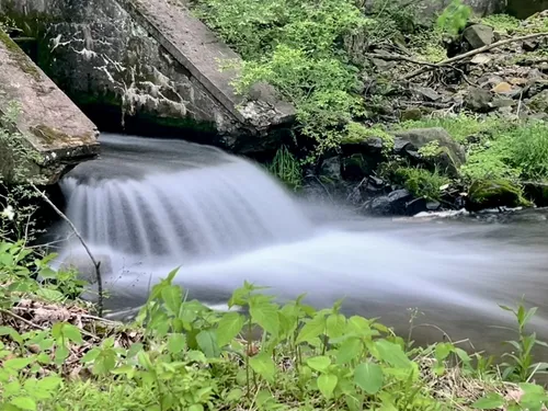 Best Views Trails in Nolde Forest - EyJidWNrZXQiOiJhc3NldHMuYWxsdHJhaWxzLmNvbSIsImtleSI6InVwbG9hZHMvcGhvdG8vaW1hZ2UvNzQzNTcyNjEvNmE1ZTY3OWQyNmU0YTRjNzc0ZWExYWI1MTI3NmFhMzYuanBnIiwiZWRpdHMiOnsidG9Gb3JtYXQiOiJ3ZWJwIiwicmVzaXplIjp7IndpZHRoIjo1MDAsImhlaWdodCI6NTAwLCJmaXQiOiJpbnNpZGUifSwicm90YXRlIjpudWxsLCJqcGVnIjp7InRyZWxsaXNRdWFudGlzYXRpb24iOnRydWUsIm92ZXJzaG9vdERlcmluZ2luZyI6dHJ1ZSwib3B0aW1pc2VTY2FucyI6dHJ1ZSwicXVhbnRpc2F0aW9uVGFibGUiOjN9fX0=