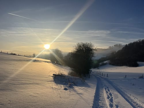 Bollerberg Rundweg