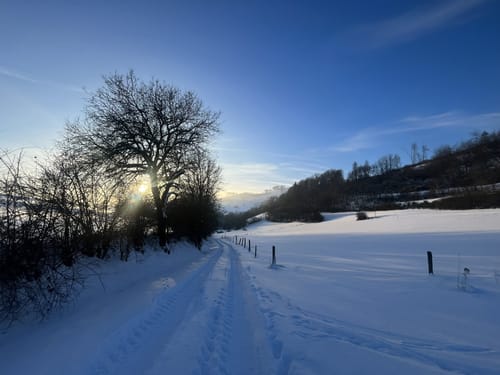 Bollerberg Rundweg
