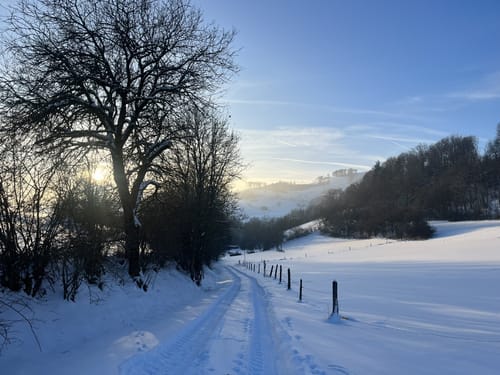 Bollerberg Rundweg
