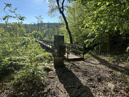 Ölmühlentour (Traumschleife)